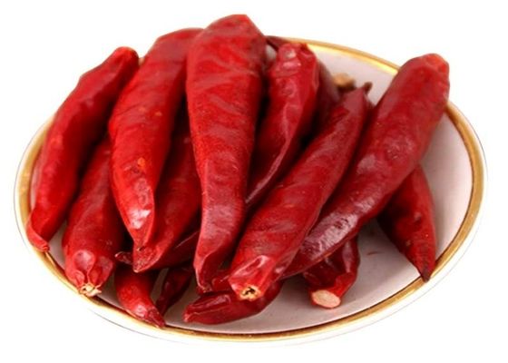 Chiles vermelhos secos autênticos de Tianjin, chiles naturais crus, colhidos à mão.