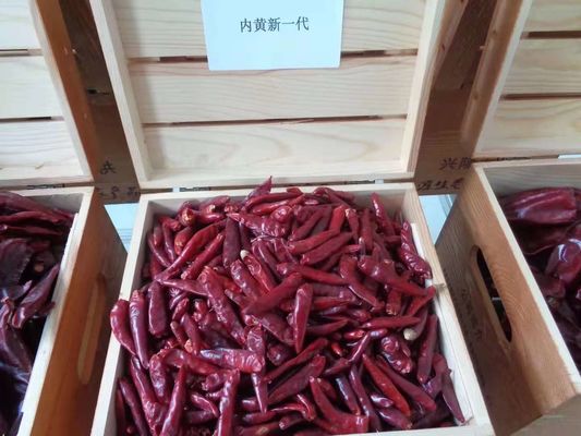 7CM secou o ISO vermelho longo de SHU Dehydrated Tianjin Chili dos pimentões 50000