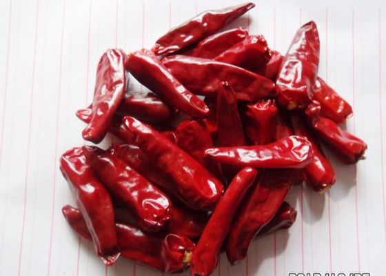 8000 pimentos desidratados pungentes de SHU Chinese Dried Chili Peppers 7CM