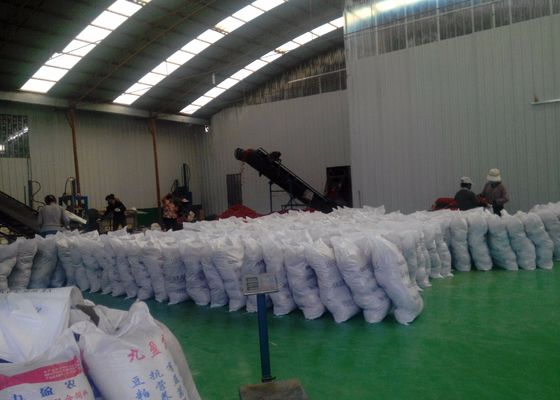 Pimentas vermelhas secadas quentes com original Halal do certificado do ISO de BRC
