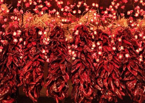 8000 sabor pungente seco longo de SHU Dried Red Chilli Peppers 20Kg