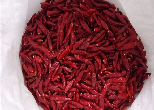 Os pimentões vermelhos Pimenta de Caiena de HACCP Tianjin secaram a umidade de Chili Pods 12%