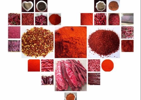Pimentões vermelhos 5000 pungentes SHU Dried Red Chile Pods de SHU 12000 Tianjin