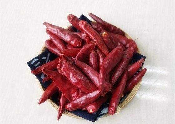 25000 pimentões de SHU Dried Red Chile Peppers Tianjin desidrataram especiarias