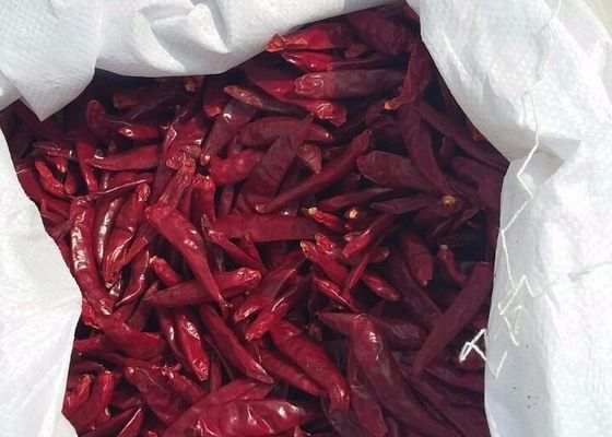 Pimentões picantes pequenos e vermelhos de Tianjin ricos em vitamina C Nutritivos e deliciosos
