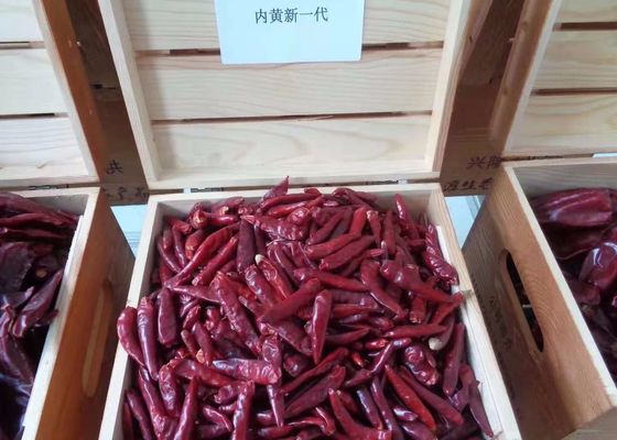 Pimentões vermelhos de SHU 15000 Tianjin 0,3% pimentões vermelhos secos de XingLong da impureza