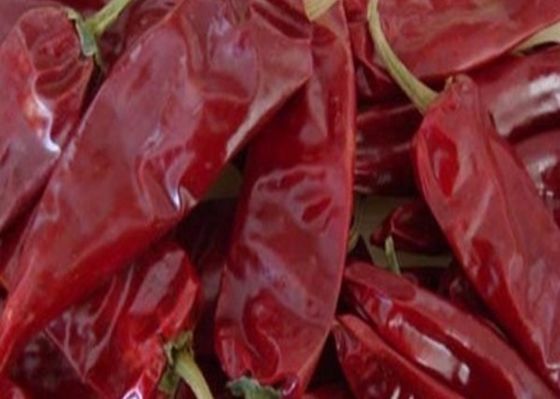 O ANÚNCIO de 8000 SHU Cherry Red Guajillo Chilis que seca vagens do Chile Guajillo cola a forma
