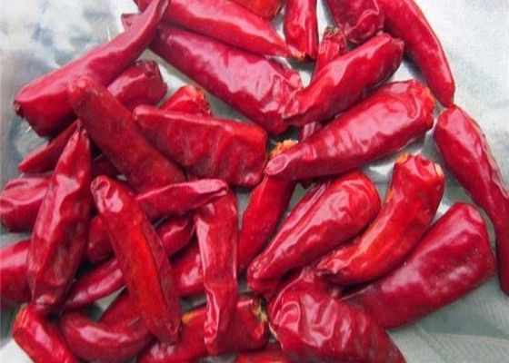 Ingredientes de Chilli de cultivo Armazenados em local frio e seco