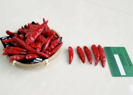 Sun HALAL secou a umidade Tien Tsin Chilli Pepper Capsicum dos pimentões 12%