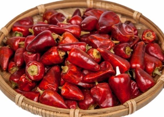 Os pimentões vermelhos Stemless da bala desidrataram 25000 SHU Dried Spicy Peppers