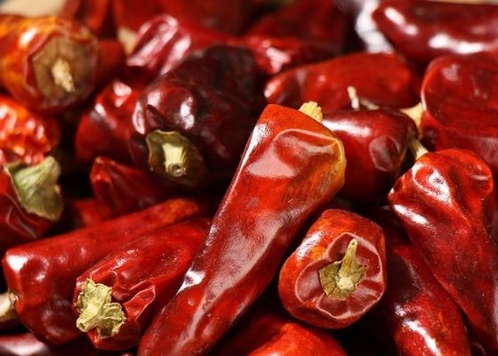 Os pimentões vermelhos Stemless da bala desidrataram 25000 SHU Dried Spicy Peppers