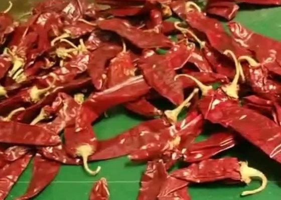 O ANÚNCIO de 8000 SHU Cherry Red Guajillo Chilis que seca vagens do Chile Guajillo cola a forma