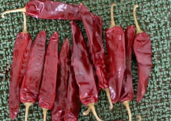 O alimento mexicano secou o pimentão 5000 SHU Dried Red Peppers Paprika de Guajillo
