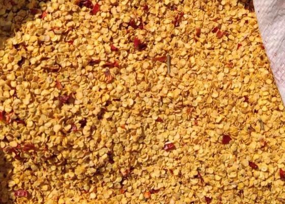 O grânulo secou pimentões semeia 10PPB 15000 SHU Spicy Pepper Seeds HACCP