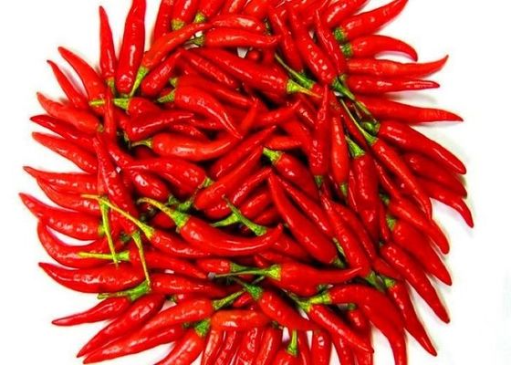 Novas colheitas sem caule de aves secas japonesas olho de pimenta paprika A grau