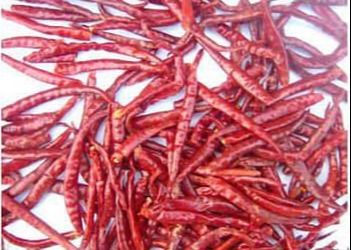 30000 SHU Chinese Dried Chili Peppers Chili Pods Hot Tasty vermelho pungente