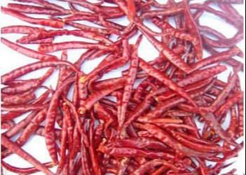 Variedade de pimenta chinesa pimenta seca AD Processo de secagem