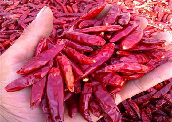 O todo Stemless secou pimentas vermelhas 20000 SHU Single Herbs
