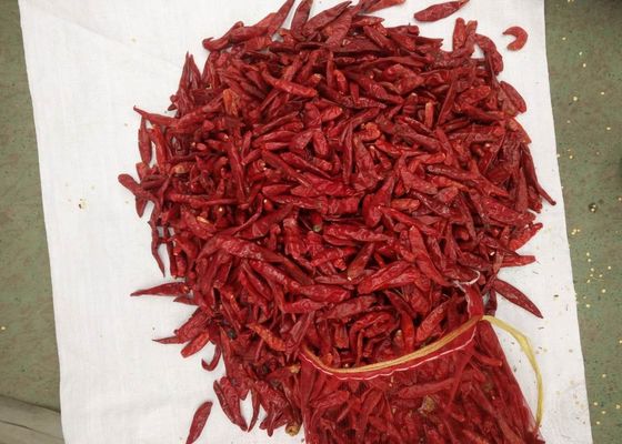Temperos desidratados das especiarias e das ervas de Paprika Dried Red Chilli Peppers dos vegetais