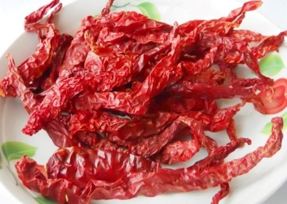 Especiarias materiais secas de Chili Hot Pot Seasoning Raw da pimenta do painço de Guizhou Mantianxing