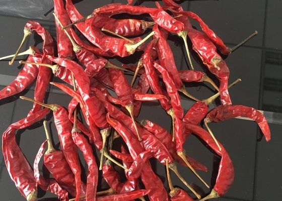 ISO novo de FDA HACCP da colheita dos pimentões vermelhos vermelhos de Yidu Chili Tianying Jinta Chili American KOSHER