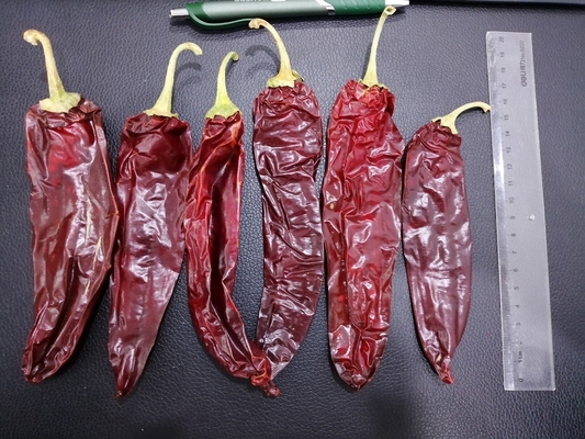 Os pimentões Califórnia secaram Guajillo que Chili Big Size Picked By entrega o vermelho natural