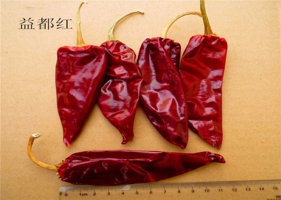 Fábrica de Pimenta Vermelha Seca Fornece Chilli Yidu com / Sem Cabeça