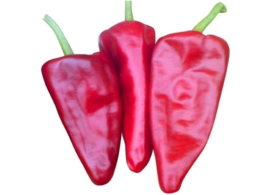 CERTIFICADOS KOSHER orgânicos de FDA HACCP BRC dos pimentões de Yidu Chili Red Pepper Beijinghong Jinta