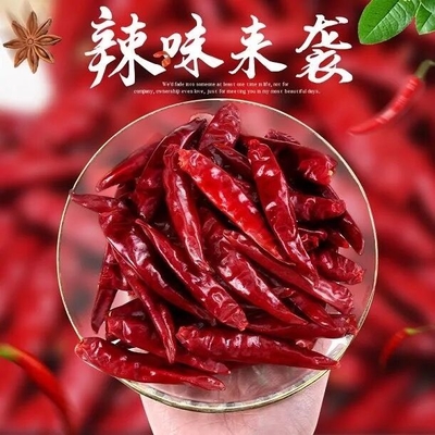 Tianjin Tien Tsin Dried Red Chilli salpica cozinhando o ingrediente
