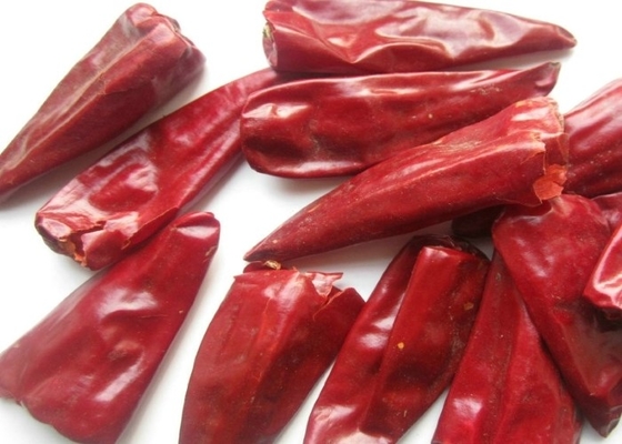 200g de Pimentão Vermelho Seco 3000SHU Com Pimenta Sichuan Armazenado Em Local Seco E Fresco