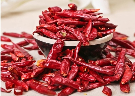 Tianjin secado 7CM Stemless Tien Tsin Chile Peppers Chinese Neihuang