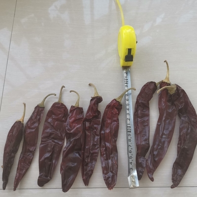 Todo / Bastão 10-15 cm de comprimento Chilli Guajillo Seco Para uso em guisados