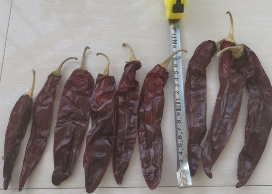 10-15 cm Guajillo Chili Seco Grau A Red Paprika Pods