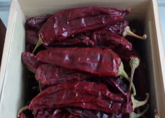 Chilli Guajillo inteiro com/sem caule 500SHU Vermelho