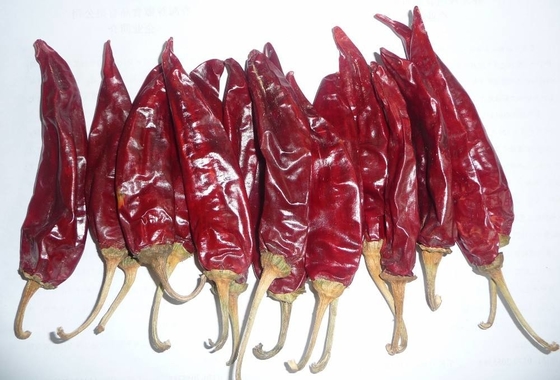 10-15 cm Guajillo Chili Seco Grau A Red Paprika Pods