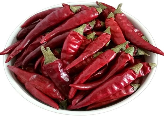 Pimentão vermelho picante secado quente 50 4 - 7 cm Secado ao sol 25 kg/saco