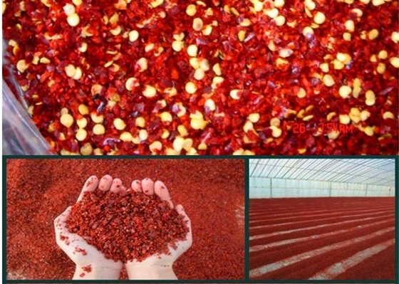 Malha picante esmagada vermelha dos flocos 40.000 SHU 5-8 das pimentas de Tianjin Yidu Jinta