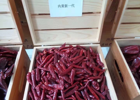 O chinês Stemless Chaotian Szechuan secou as pimentas vermelhas SHU alto