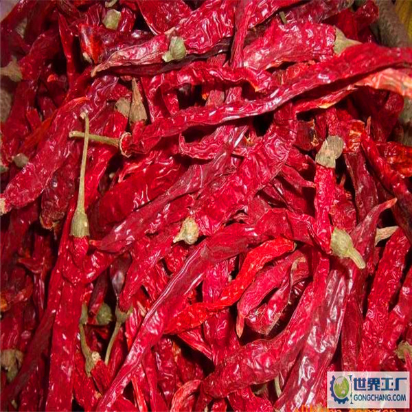 Erjingtiao Chilis secos com 8-12% de humidade e processo de secagem a ar