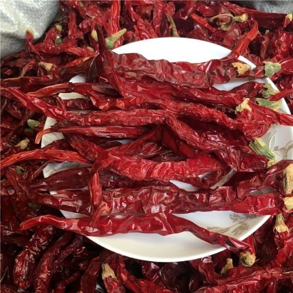 Pimentões vermelhos secos sem caule/cortados de caule 99% de pureza com forte sabor picante