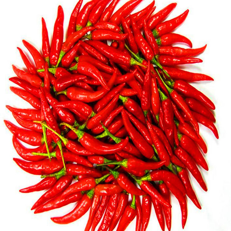 Sabor poderoso pimenta-de-caiena 90000 SHU de cozinha de Sichuan com vermelho