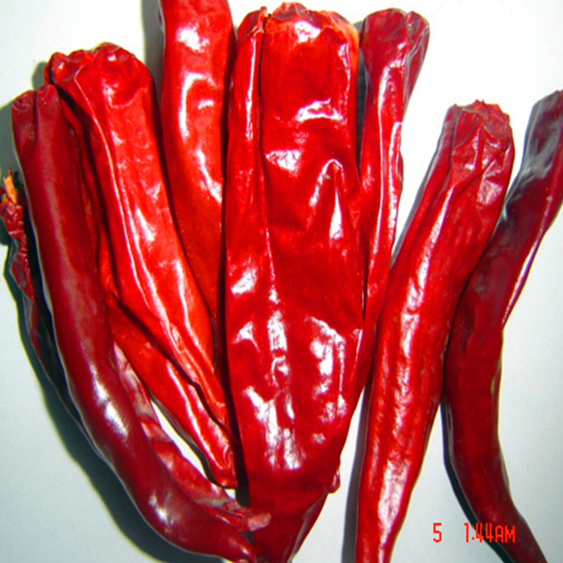 Pão quente / cozinha de Sichuan Pimentões vermelhos secos com sabor forte e picante
