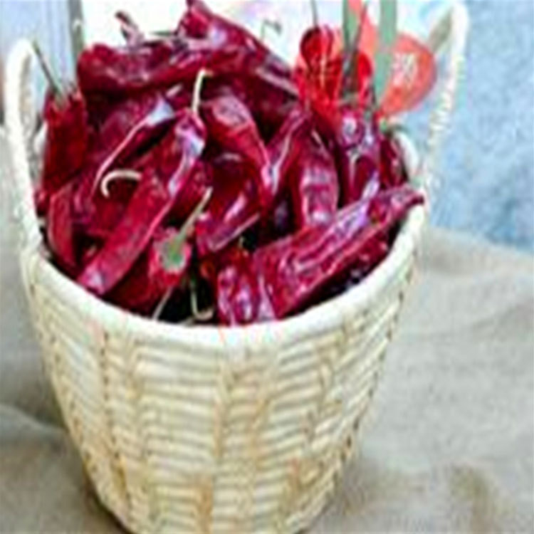 Origem Sabor picante Pimentão chinês Seco NÃO Alergênico Informações 14 Cm