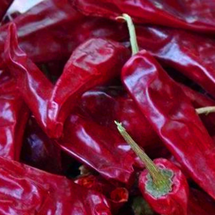 Pimentões vermelhos secos no ar para uma panela picante e cozinha Sichuan