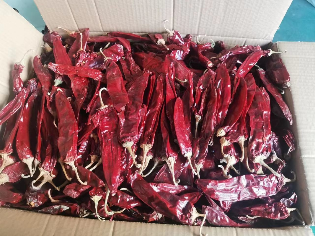 Número de malha Rótulo e identificação Chilli vermelho seco Umidade≤14% para produtos
