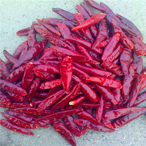 Chilis vermelhos de Tianjin com vitamina C cultivados em campos de chili de Tianjin a temperatura ambiente