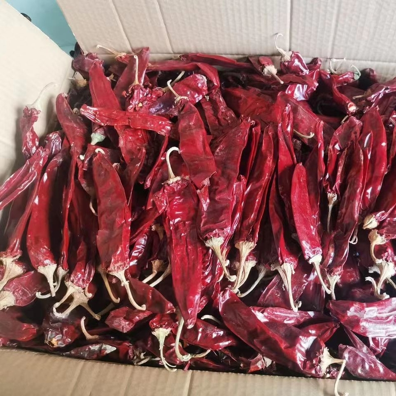 1 ano de validade Paprika doce Pimenta seca Chilli vermelho Aditivo para ingrediente alimentar
