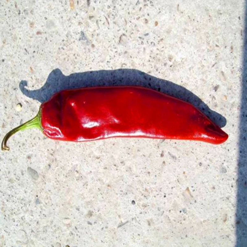 Paprika em negrito com sabor intenso a pimenta, cor vermelha rica e 8-12% de umidade