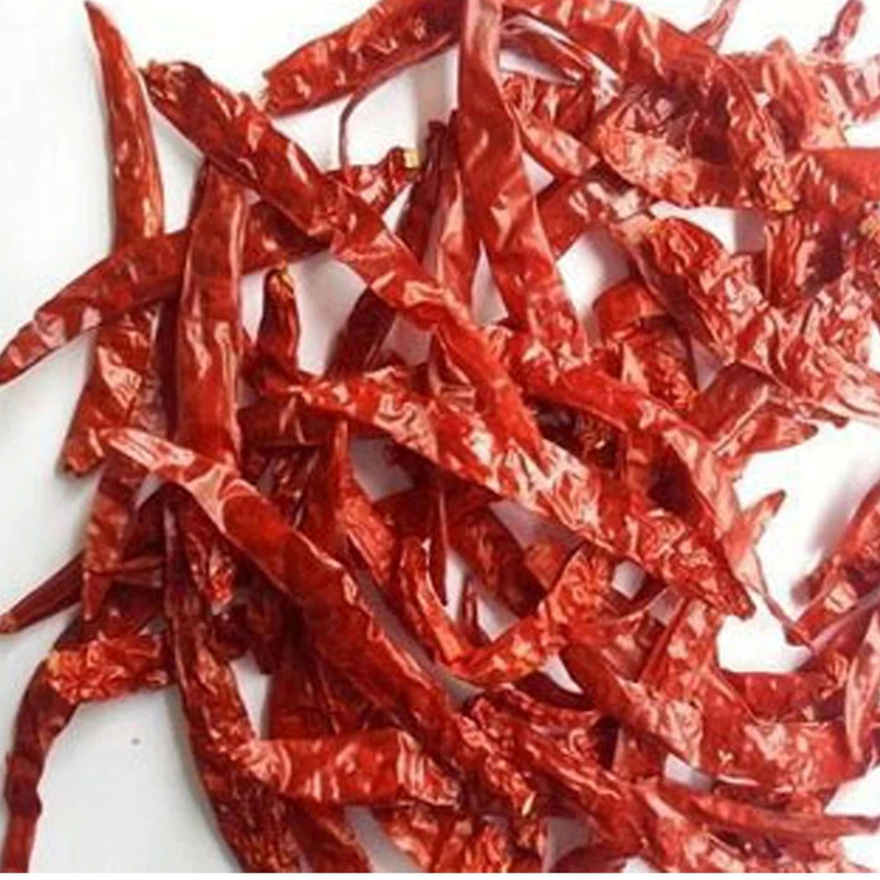 Pimentões de pimentão vermelho inteiro secos para cozinhar ou extrair cor
