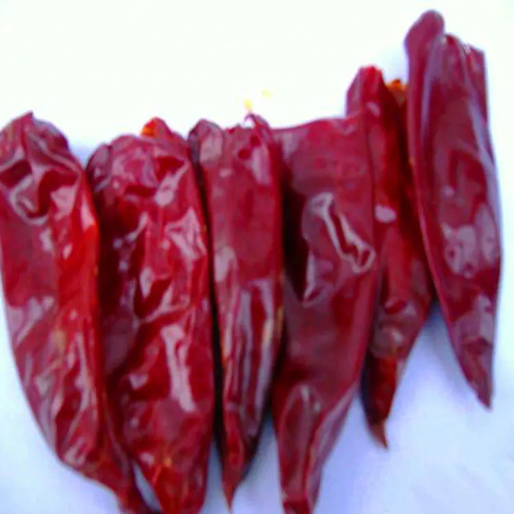 7-15cm comprimento Yidu Chili sabor forte picante de chili para armazenamento em local seco e frio